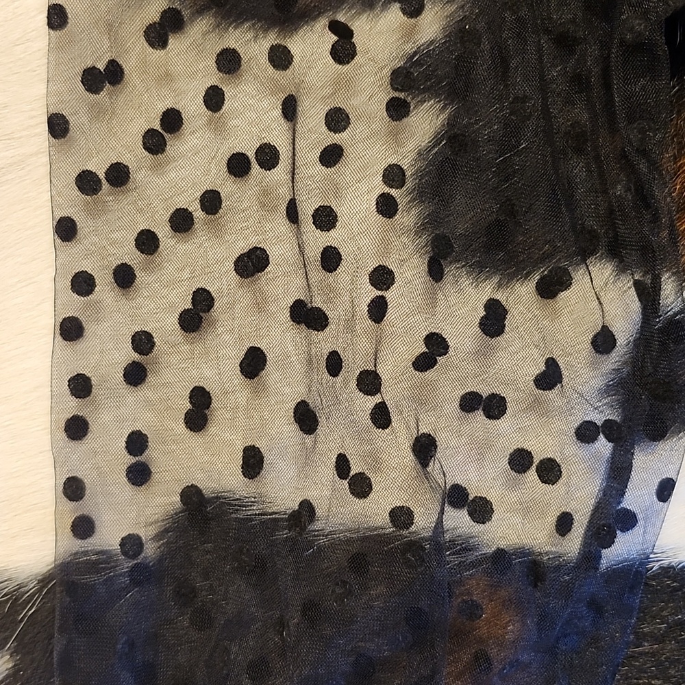 Elegant Black Blouse with Sheer Polka Dot Sleeves - Picture 3 of 3
